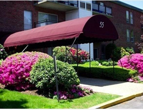 55 Broadlawn Park - Photo 1