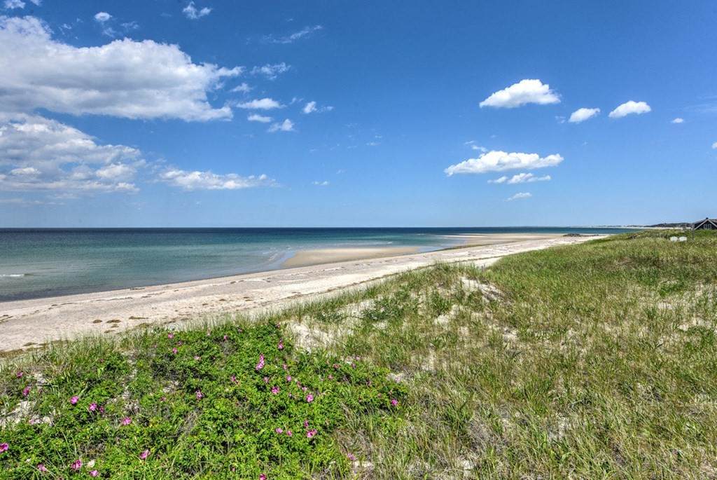 195 North Shore - Photo 1