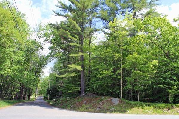 0 Newell Cross Road - Photo 1