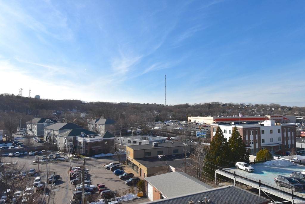 230 Willard St - Photo 1