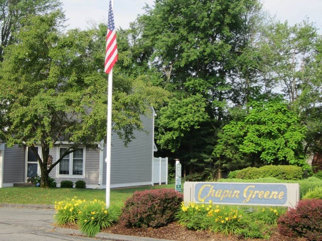 69 Chapin Greene - Photo 1