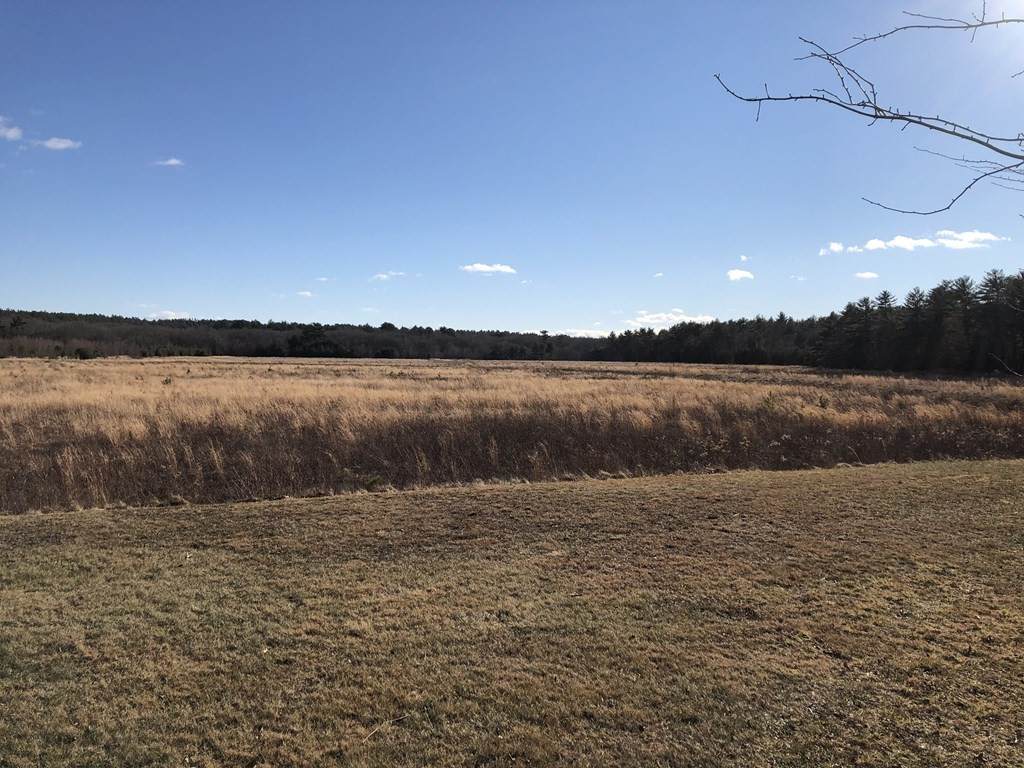 293 Flag Swamp Rd - Photo 1