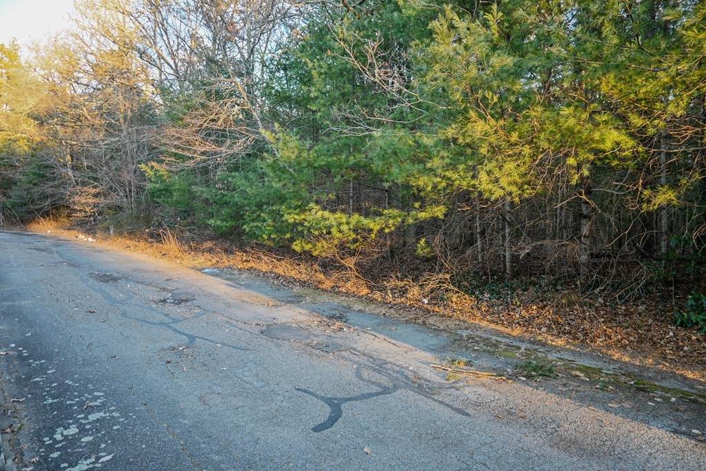 75 Bob White Run - Photo 1