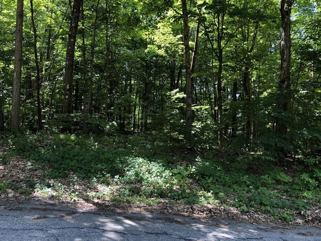 0 Maple Grove Rd - Photo 1