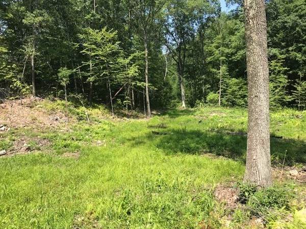 0 Depot Rd - Photo 1