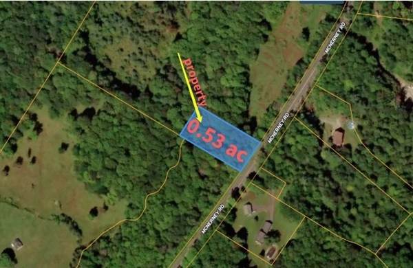 0 Mcnerney Rd - Photo 1