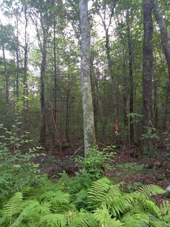 0 Lyman Rd - Photo 1