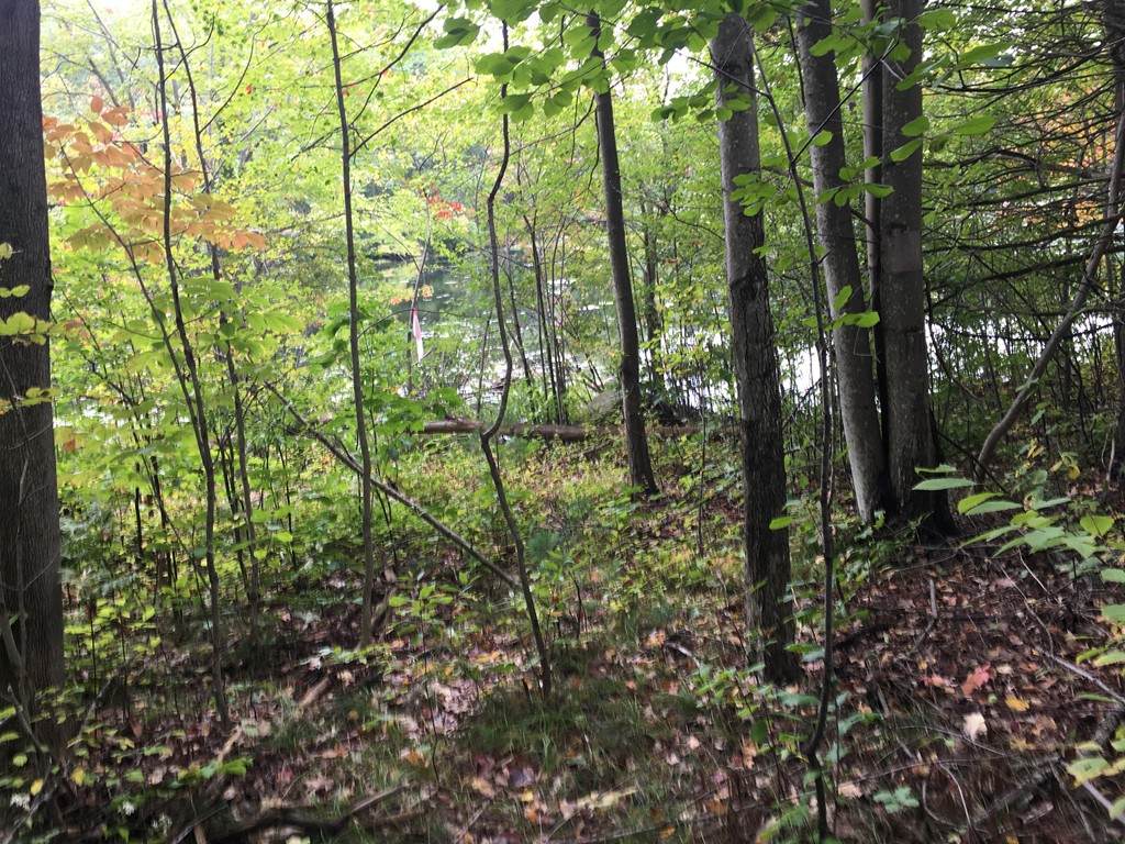 Lot 1 N Woodstock Rd - Photo 1
