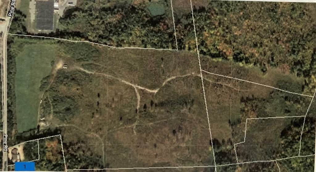 0 Pine Rd - Photo 1