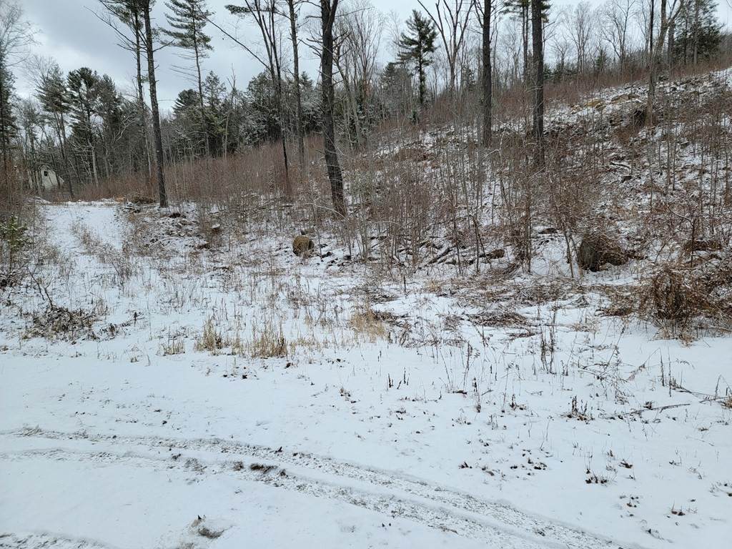 0 Gilbertville Rd - Photo 1
