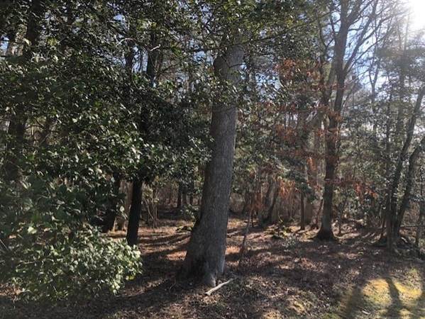 0 Holly Pond Rd (Rear) - Photo 1