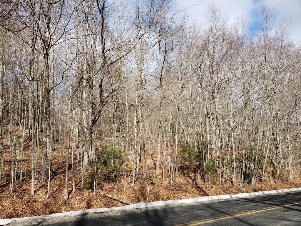 0 East River Rd Lot 14 Map 409 - Photo 1