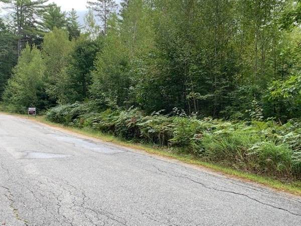 3 Young Road - Photo 1