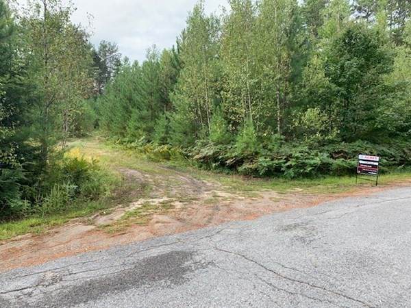 3 Young Road - Photo 1