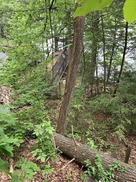 58 Goodrich Rd - Photo 1