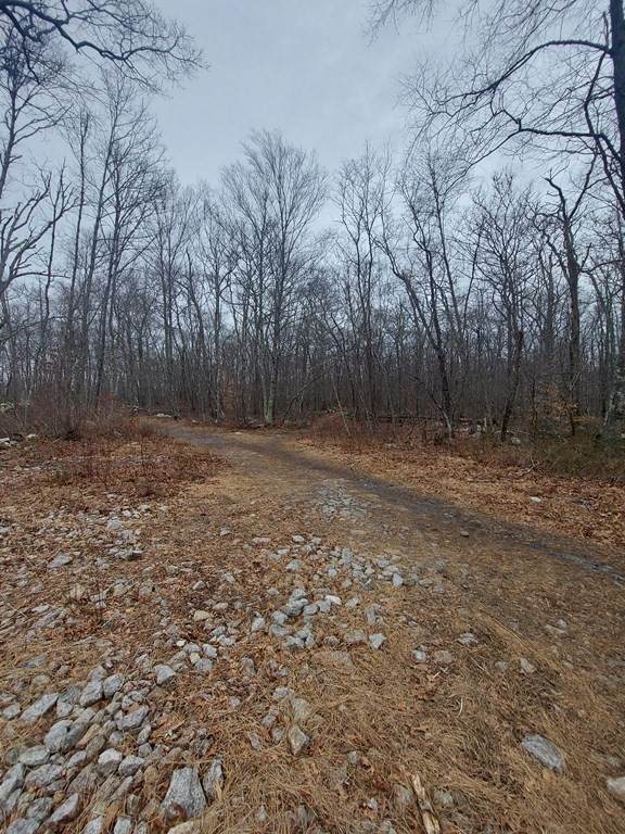 0 Lafayette Road - Photo 1