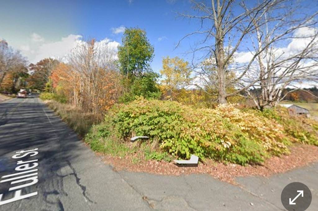 Lot 1 Fuller Street - Photo 1