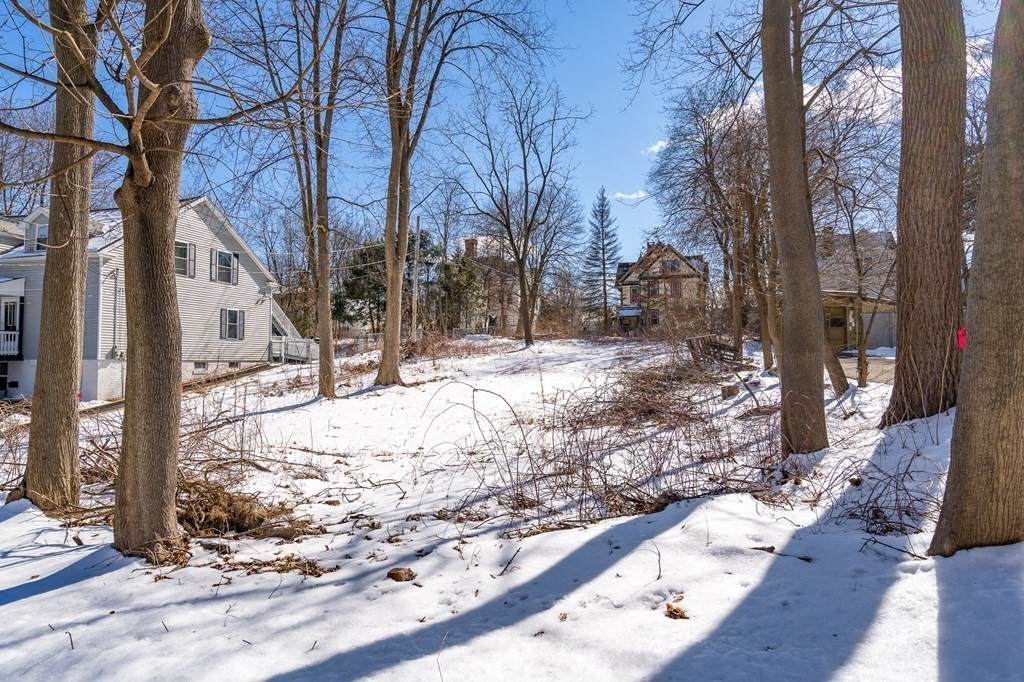 0 Morgan St. Lot 37 - Photo 1