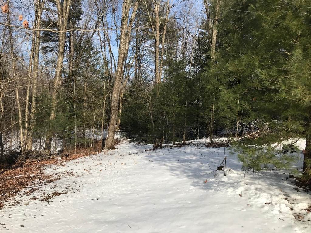 Lot 3 Barton Avenue - Photo 1