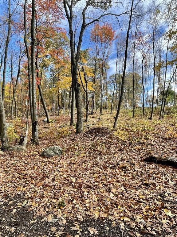 580 Ridge Rd - Photo 1