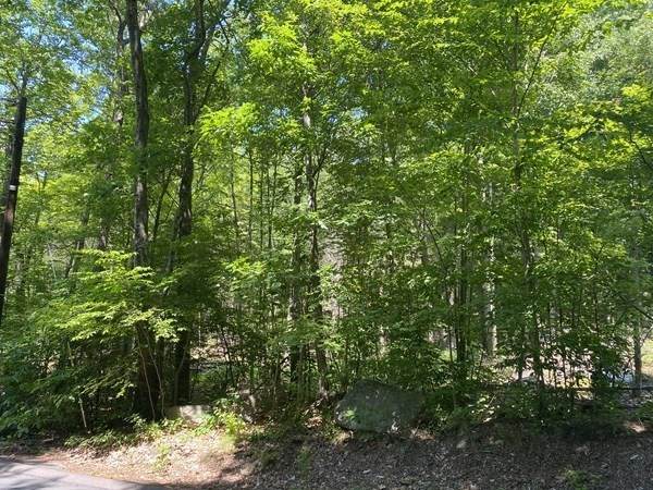 Lot 59 Summit St - Photo 1