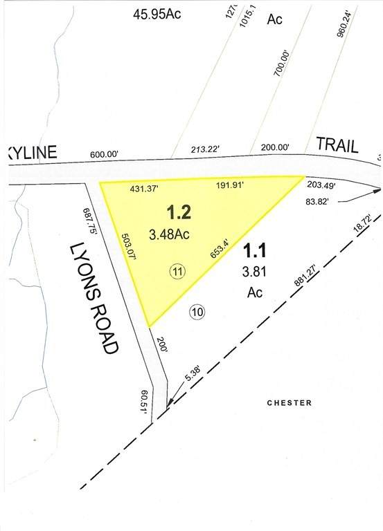 lot 2 Skyline Trail - Photo 1