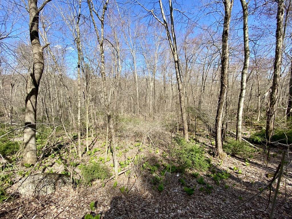 Lot 89 South St - Photo 1