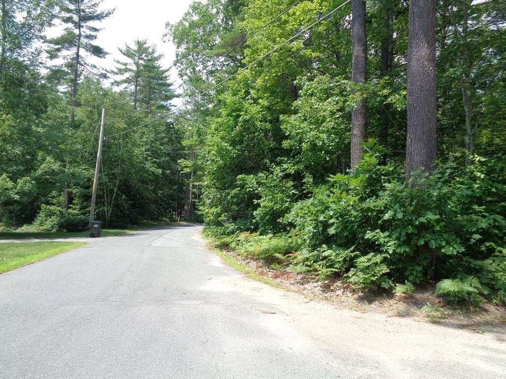 0 Mayo Rd - Photo 1