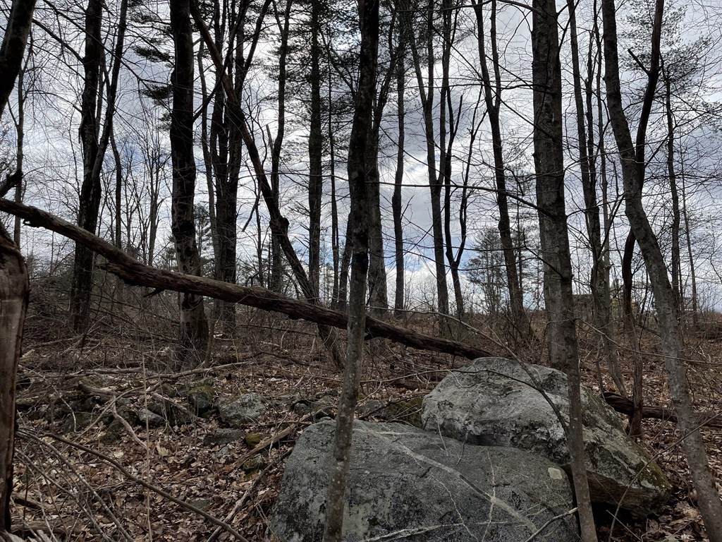 Lot 7 North Liberty Street - Photo 1