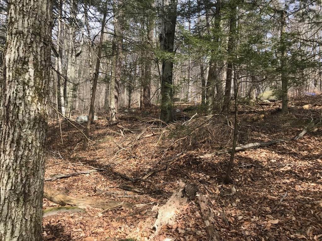 0 West Otter Dr - Photo 1