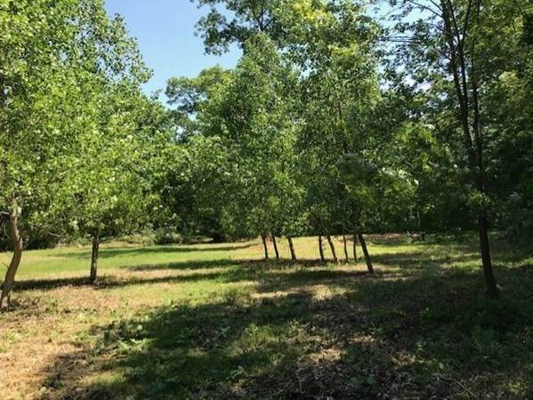 3 & 5 Wingate Farm Road - Photo 1