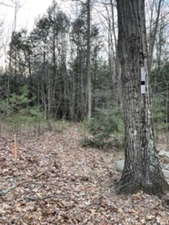 Lot 6B Northside - Photo 1