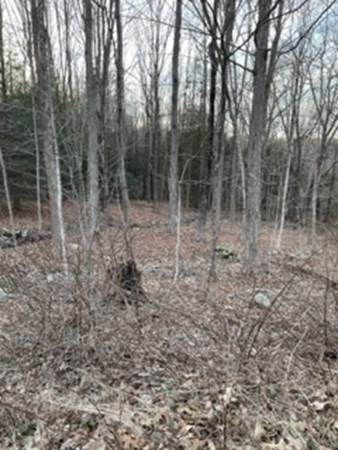 Lot 8 Northside Rd - Photo 1