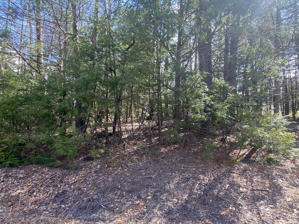 131 Brickyard Road - Photo 1
