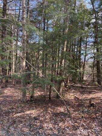 0 Schulze Rd - Photo 1