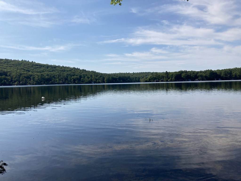 Lot 49 Camp Rd - Photo 1