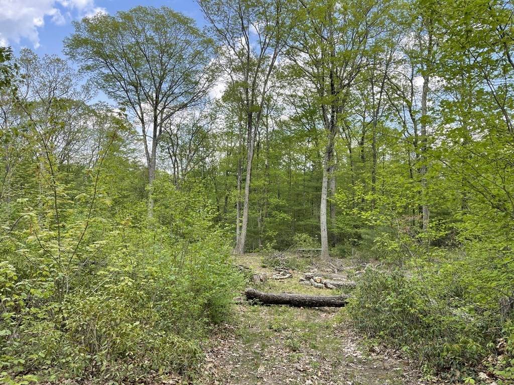 355 Leadmine Rd - Photo 1