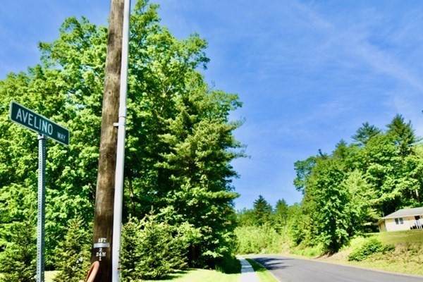 LOT 1 Avelino Way - Photo 1