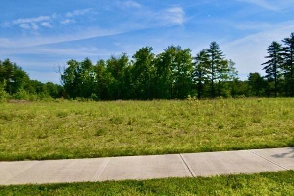 LOT 8 Avelino Way - Photo 1