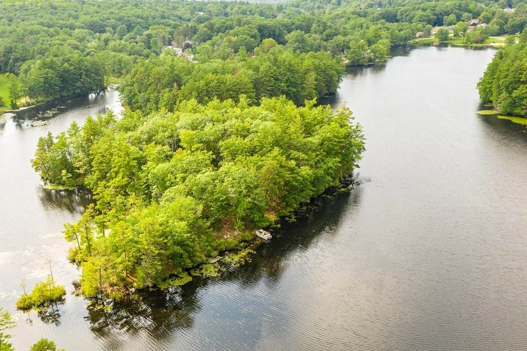 0 Island 2 - Lake Ellis - Photo 1