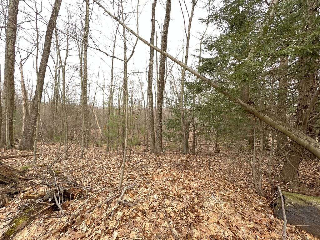 26 Stirling Dr - Photo 1