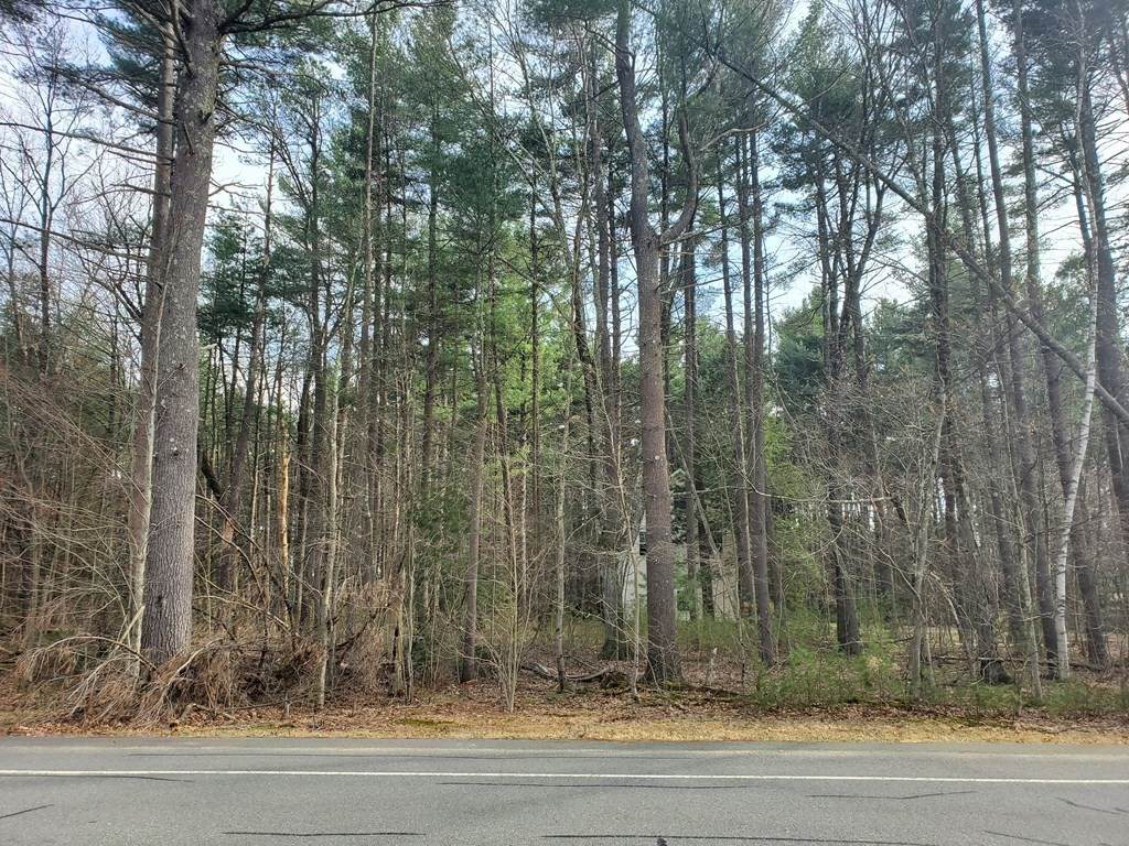 Lot 1 Westhampton Road - Photo 1
