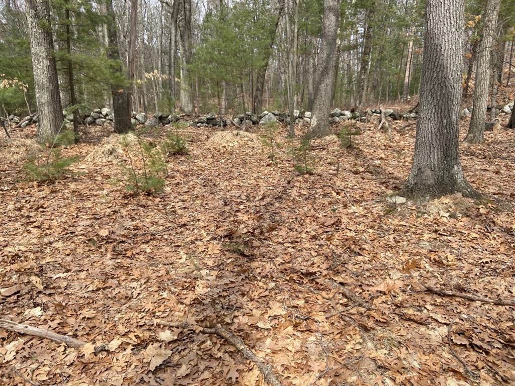 84 Spring Grove Rd - Photo 1
