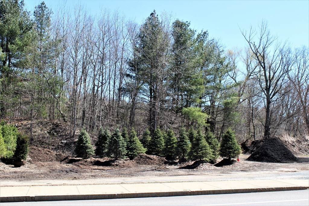 LOT 59 Washington Street - Photo 1