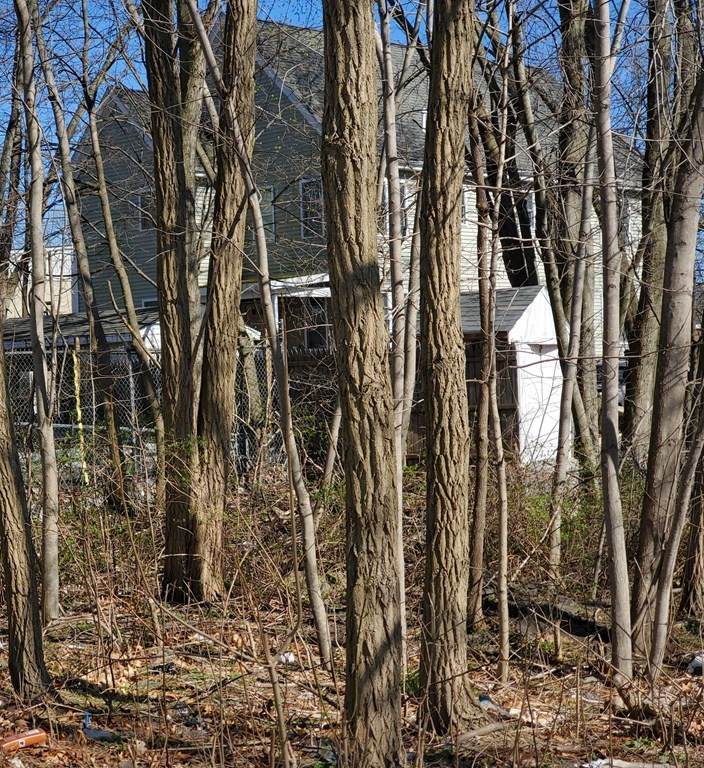 28 Sheppard St - Photo 1