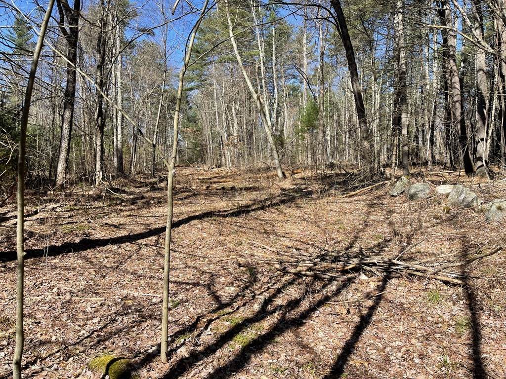 Lot 9 North Liberty St - Photo 1