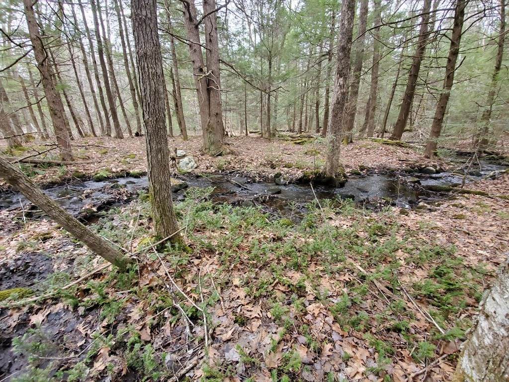 142 New Westminster Rd - Photo 1