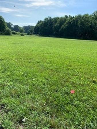 6 Acres Fowler Rd. - Photo 1