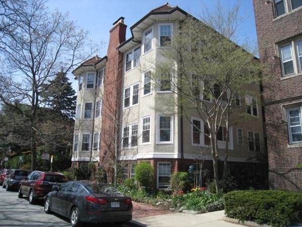 7 Linnaean - Photo 1