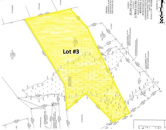 Lot 3 Lower Gore Rd - Photo 1